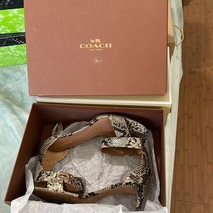Coach Snake kitten heel sandals SZ8